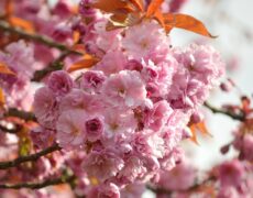 Descubre la magia de Ciudad del Cabo: el destino ideal para tu próximo viaje de turismo en Sudáfrica